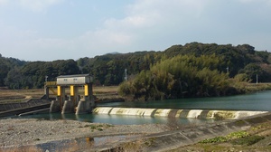 Netaro_Weir_yamaguchi_2011厚狭川.JPG