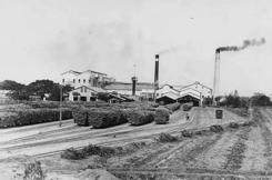 ⑦塩水港製糖(岸内製糖所）｜台湾（南部）｜地域特集｜鈴木商店の